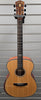 Celtone Electro-Acoustic Guitar