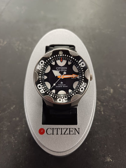 Citizen Promaster Titanium Eco-Drive E168-S035872