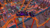 Rollercoaster Tycoon Adventures (Switch Games)