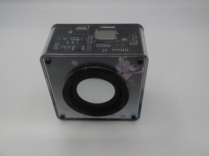 Black Grape Small BT Speaker