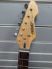 Peavy International Series Raptor Electric Guitar