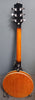 STAGG REMO 6 STRING BANJO