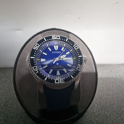 Citizen Eco-Drive Promaster Diver Watch e168-s121019
