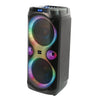 Ibiza Columba Karaoke Pa Speaker 1000W Dual Wireless Microphone Bluetooth [Collection Only][Boston]
