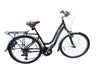 Trek Navigator 2 Women's Hybrid Bike – 26" Wheels – 17" Frame – 21 Speed