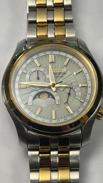 Citizen Men's Eco-Drive Moon Phase Watch