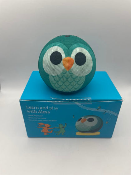 Echo dot kids