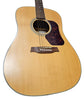 Walden Natura D550 Acoustic Guitar