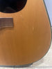 Farida D-8X0P Acoustic Guitar