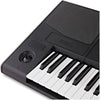Korg PA300 Arranger Keyboard