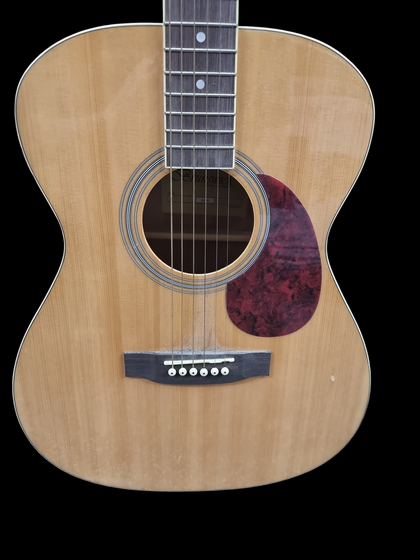 Brunswick BF200 Grand Auditorium Acoustic Guitar, Natural Gloss,