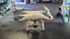 DJI Phantom 4 Drone - Bundle