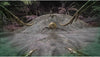 Ark: Survival Evolved ps4