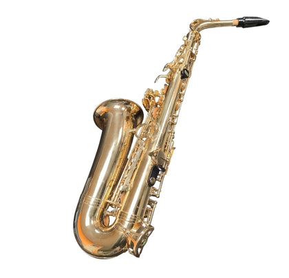 Elkhart Alto Saxophone Series 2 - with hard carry case