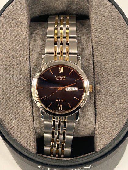 Citizen Eco-Drive WR-50