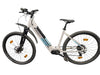 Rock Machine Storm e70 E-Bike