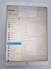 Apple iPad Pro 10.5” 1st Gen (A1709) 512GB - Silver unlocked (read description)