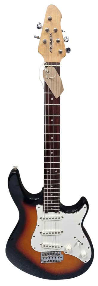 Peavy Raptor Special Electric Guitar - Sunburst *collection only*