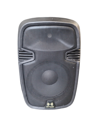 *COllection Only* EKHO Sound RS12a Speaker *Collection Only*