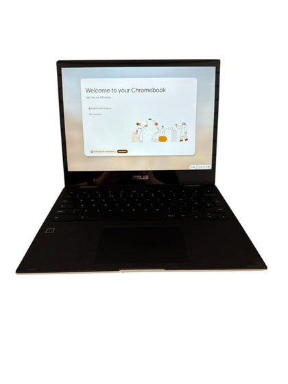 Asus Chromebook Flip CM3, 12