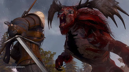 The Witcher 3 Wild Hunt
