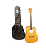 SX SD204CE Eletro-acoustic Guitar w/case COLLECTION ONLY