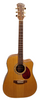 ** January Sale **  Freshman Apollo 3 DC Electro-Acoustic