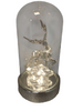 JM by Julien Macdonald Pre-Lit Glass Cloche with Gift Box-Stag