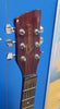 Brunswick Acoustic Guitar AW-200F - Red