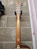 Washburn D10SCE 12 string