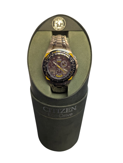 Citizen Eco Drive Skyhawk
