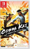 Cobra Kai The Karate Kid Saga Continues