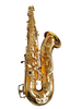 Artemis Pro Alto Saxophone - with Case