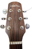 Walden Natura D550 Acoustic Guitar