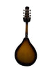 Republic 8 String Mandolin