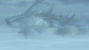 Nintendo Xenoblade Chronicles 2 (Switch)