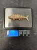 9ct Gold Articulating Fish Pendant 24.88g