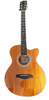 Ferndale Electro Acoustic Guitar with case