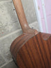 Martin & Co. DCX-1E Electro Acoustic Guitar