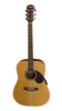 Freshman Acoustic Guitar With Bag **Collection Only**