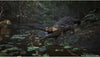 Metal Gear Solid Delta: Snake Eater (PS5)