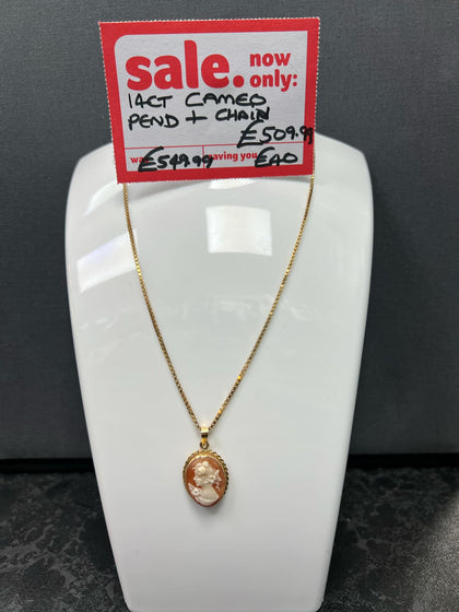 14ct Gold Chain and Cameo Pendant