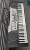 Axus AXP10 Portable Keyboard **Collection Only**