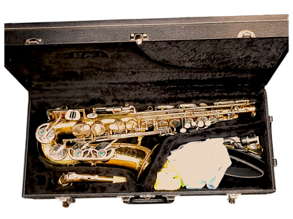 Earlham Professional Series 2 Alto Saxophone With Hard Case
