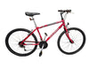Raleigh Firefly - Bike **Collection Only**