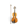 Antique 4/4 Violin Ruggeri with Case, Bow