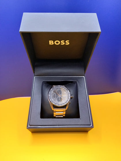 Hugo Boss Watch HB.493.1.34.3865