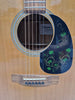 Takamine g series acoustic guitar