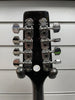 Ashbury gr-3127 Mandolin