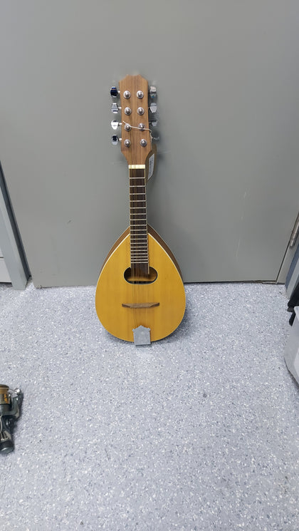 Flat-backed mandolin